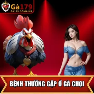 Bệnh Thường Gặp Ở Gà Chọi