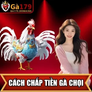 Cách Chấp Tiền Gà Chọi