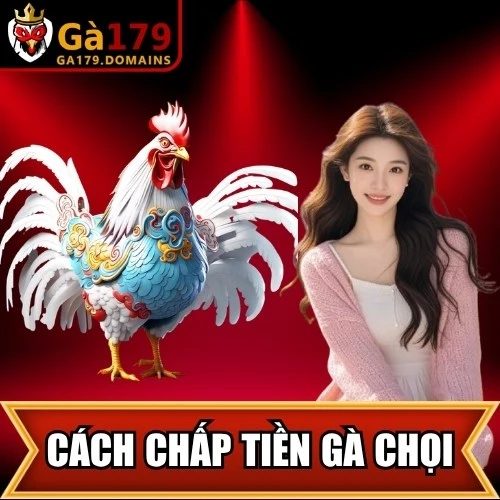 Cách Chấp Tiền Gà Chọi