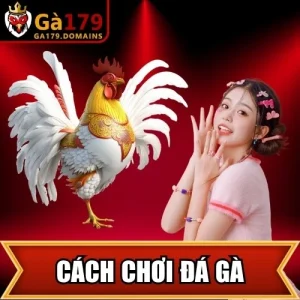 Cách Chơi Đá Gà