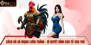 Cách Đá Gà Mạng Luôn Thắng