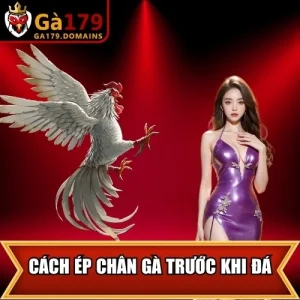 Cách ép chân gà trước khi đá