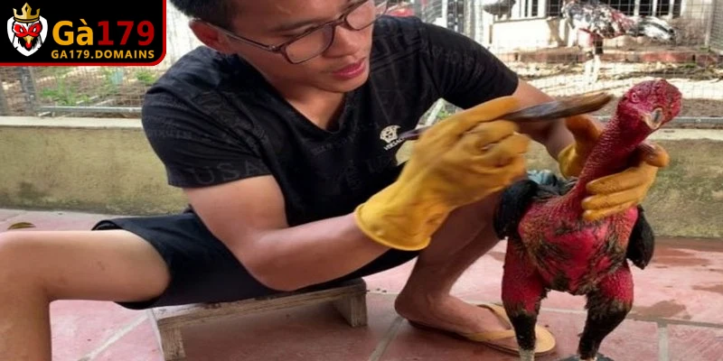 Áp dụng cách ép chân gà trước khi đá giúp lưu thông khí huyết