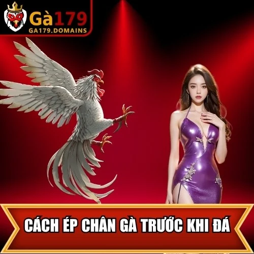 Cách ép chân gà trước khi đá