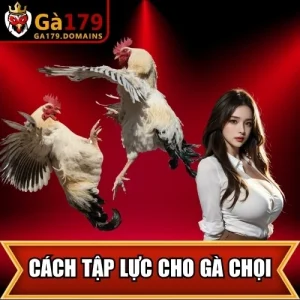 Cách Tập Lực Cho Gà Chọi
