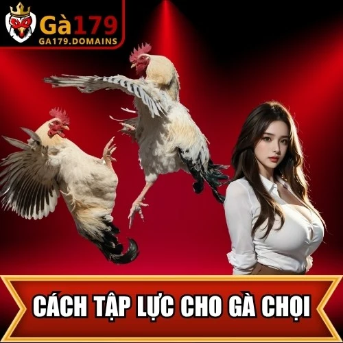 Cách Tập Lực Cho Gà Chọi