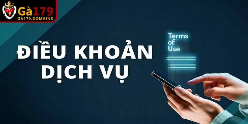 Điều khoản và điều kiện được thiết lập minh bạch, công khai