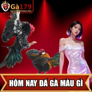 Hôm Nay Đá Gà Màu Gì