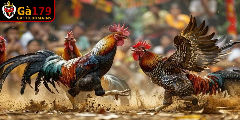 Cách phối hợp màu sắc trong hôm nay chiến kê đá màu gì