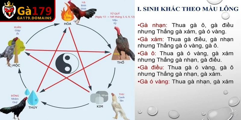 Ý nghĩa của việc xem hôm nay chiến kê đá màu gì