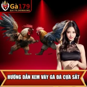Hướng Dẫn Xem Vảy Gà Đá Cựa Sắt