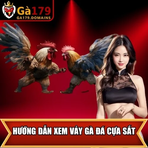 Hướng Dẫn Xem Vảy Gà Đá Cựa Sắt