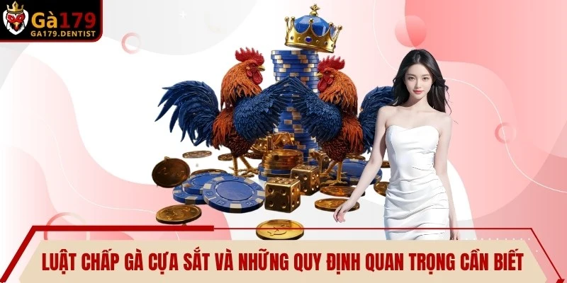 Luật Chấp Gà Cựa Sắt