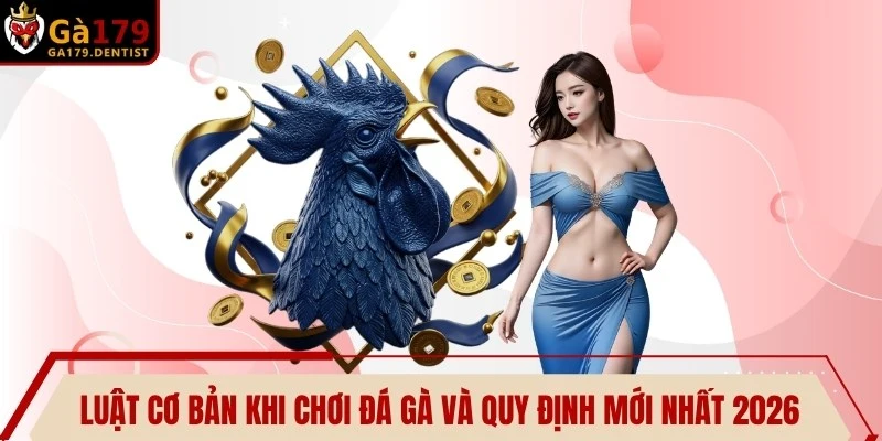 Luật Cơ Bản Khi Chơi Đá Gà