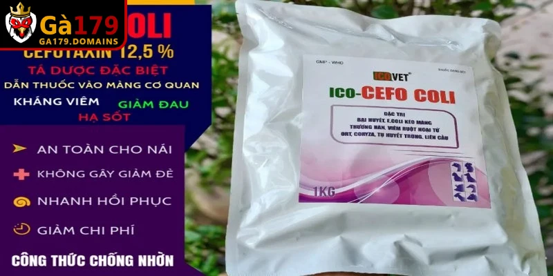 Kháng sinh dùng trong thuốc điều trị bệnh ORT trên gà