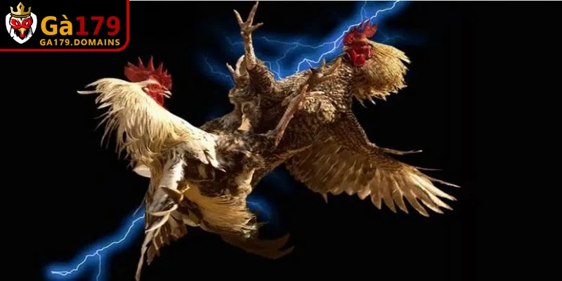 Tiêu chí đánh giá Top trang đá gà trực tiếp