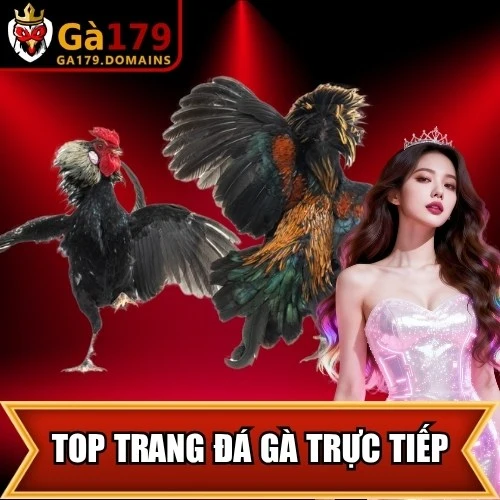 Top Trang Đá Gà Trực Tiếp